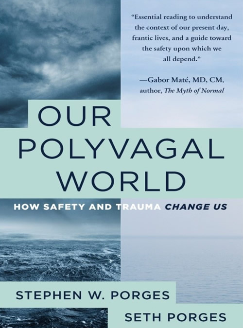 our polyvagal world
